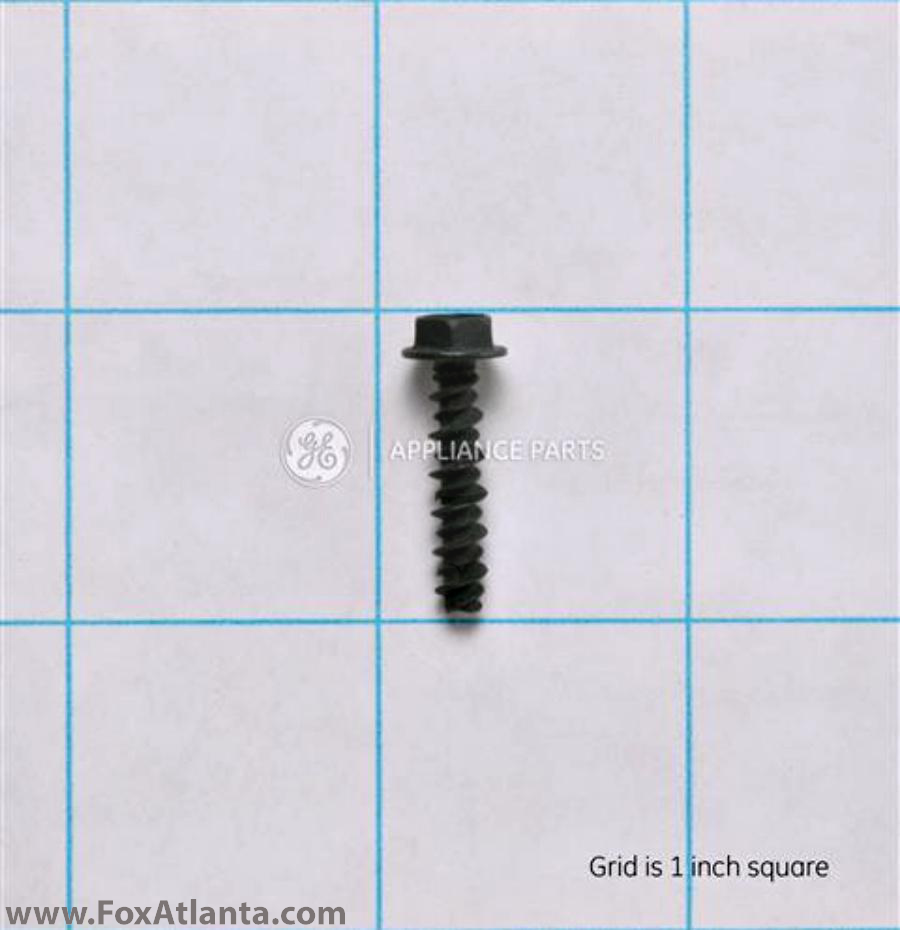 Screw-Blk      02